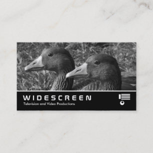 Widescreen 355 - Griechen Gänse B&W Visitenkarte