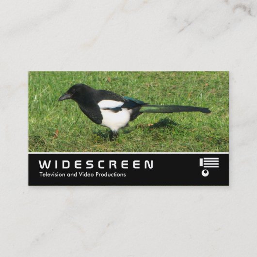Widescreen 367 - Europäische Magpie Visitenkarte (Vorderseite)