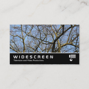 Widescreen 385 - Zweige in der Sonne Visitenkarte