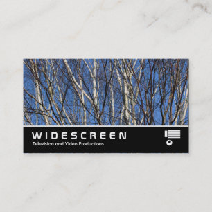 Widescreen 388 - Zweige der Silberbraun Visitenkarte