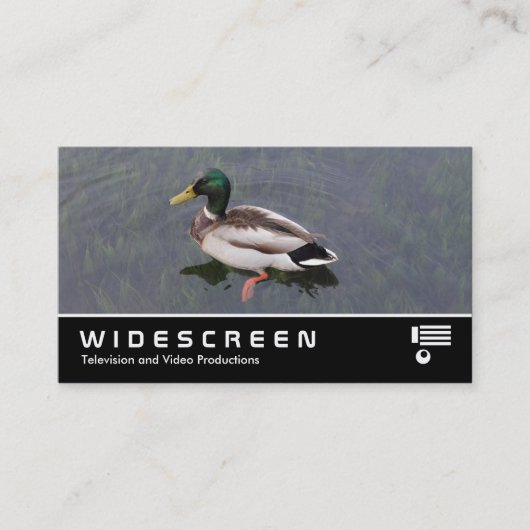 Widescreen 390 - Mallard Duck Visitenkarte (Vorderseite)