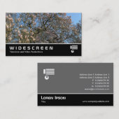 Widescreen 391 - Magnolia Trees Visitenkarte (Vorne/Hinten)