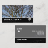 Widescreen 392 - Sunlit Trees Visitenkarte (Vorne/Hinten)