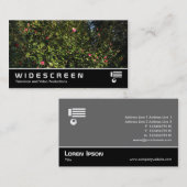 Widescreen 394 - Camellia Bush Visitenkarte (Vorne/Hinten)