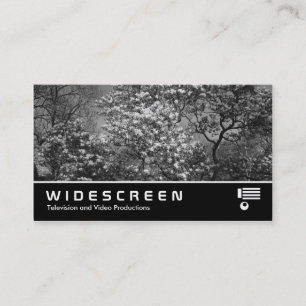 Widescreen 398 - Magnolia Tree in Blossom (B&W) Visitenkarte
