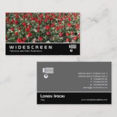Widescreen 399 - Rote Tulips und Primrosen Visitenkarte (Vorne/Hinten)