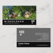 Widescreen 407 - Herr und Frau Mallard Visitenkarte (Vorne/Hinten)