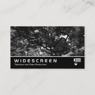 Widescreen 410 - Zwischen den Magnolienbäumen Visitenkarte