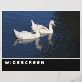 Widescreen - Emden Gänse Flyer