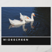 Widescreen - Emden Gänse Flyer (Vorne)