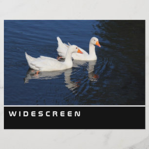 Widescreen - Emden Gänse Flyer