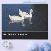 Widescreen - Emden Gänse Flyer (Einzeln)
