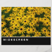 Widescreen - mit Augen Schwarze Susans Flyer (Vorne)