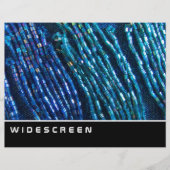 Widescreen - Perlrost Flyer (Vorne)