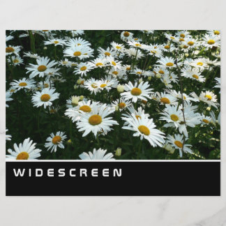 Widescreen - Shasta Daisies Flyer