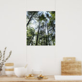 Widewater Trees in the sun Poster (Küche)