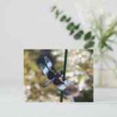 Widow Skimmer Dragonfly Postkarte (Stehend Vorderseite)