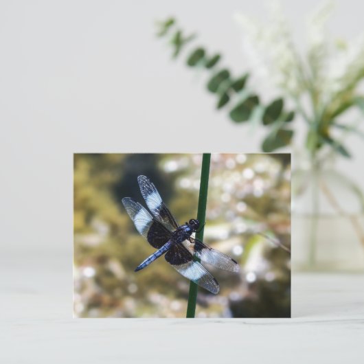 Widow Skimmer Dragonfly Postkarte (Stehend Vorderseite)