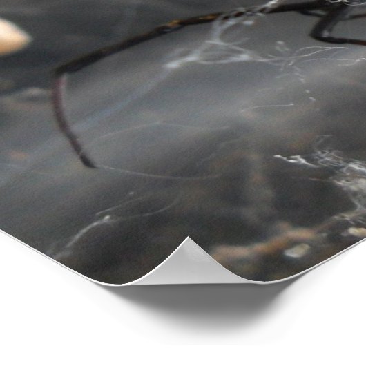 Widows Pose Poster (Ecke)