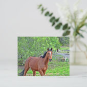 Wie 2 postkarte (Stehend Vorderseite)