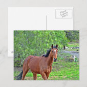 Wie 2 postkarte (Vorne/Hinten)
