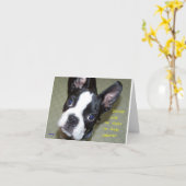 Wie alt in Hundejahre? Karte (Gelbe Blume)