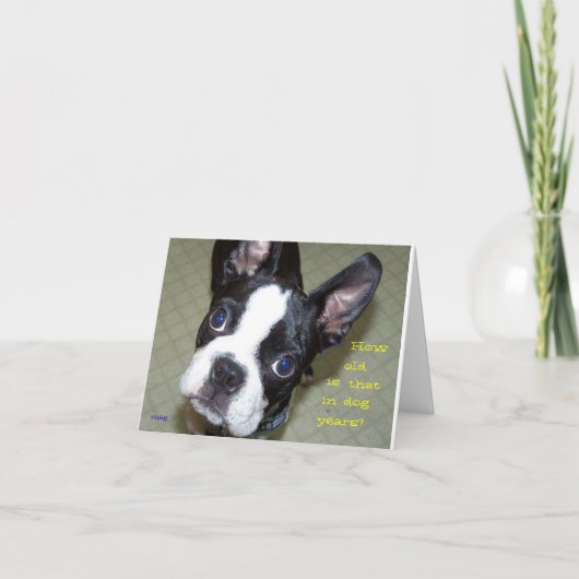 Wie alt in Hundejahre? Karte (Vorderseite)