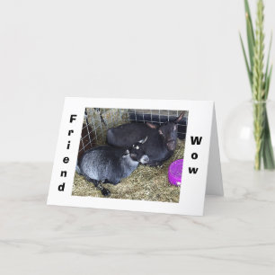 WIE ALT R U SPRICHWORT SIE SIND DIESES JAHR FREUND KARTE