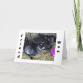 WIE ALT R U SPRICHWORT SIE SIND DIESES JAHR FREUND KARTE (Vorderseite)