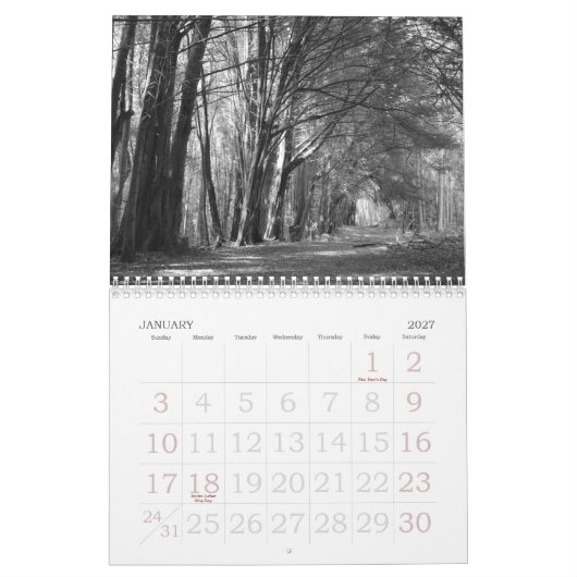 WIE AUGE ES SEHEN! KALENDER (Jan 2027)