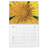 WIE AUGE ES SEHEN! KALENDER (Mär 2027)