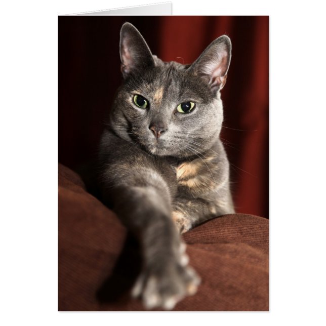 Wie bist du gewesen? (Vorne)