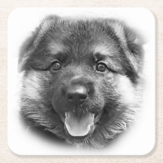 WIE BONK! RECHTECKIGER PAPPUNTERSETZER (Vorderseite)