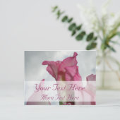 Wie Crystal Pink Gladiolus Postcard Postkarte (Stehend Vorderseite)