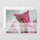 Wie Crystal Pink Gladiolus Postcard Postkarte (Vorne/Hinten)