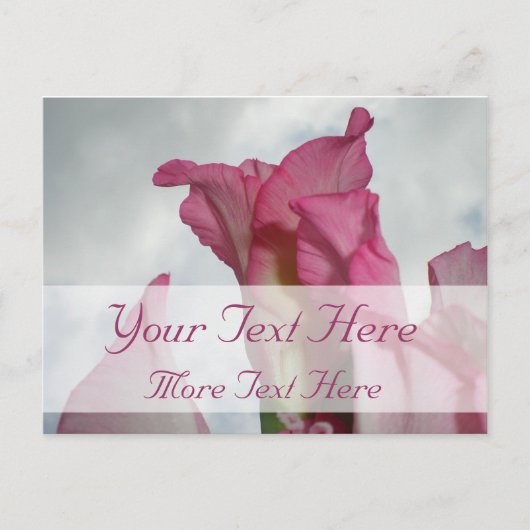 Wie Crystal Pink Gladiolus Postcard Postkarte (Vorderseite)