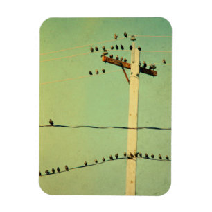Wie das für Tweeters ist Magnet