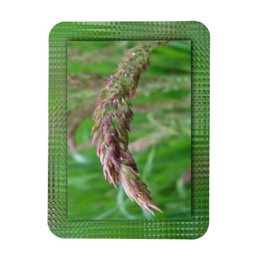 Wie das Gras flexibel wird Magnet (Vertikal)