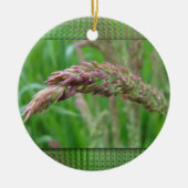 Wie das Gras Ornament wächst (Vorne)