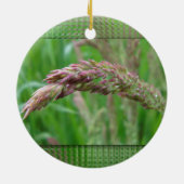 Wie das Gras Ornament wächst (Hinten)