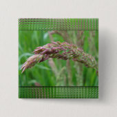 Wie das Gras wächst Button (Vorderseite)