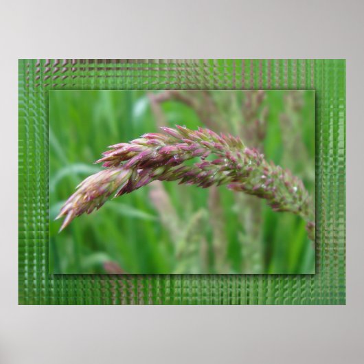 Wie das Gras wächst drucken Poster (Vorne)