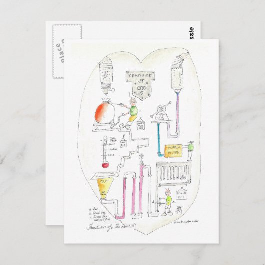 Wie das Herz funktioniert Postkarte (Vorne/Hinten)