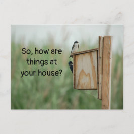 Wie denken die Dinge über Vögel? Postkarte