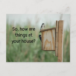 Wie denken die Dinge über Vögel? Postkarte