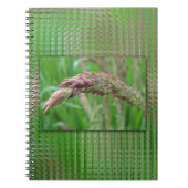 Wie der Grass das Notebook wächst Notizblock (Vorderseite)