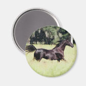 wie der Wind laufen Magnet (Vorderseite/Rückseite)