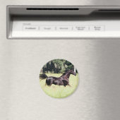 wie der Wind laufen Magnet (In Situ (Geschirrspüler))