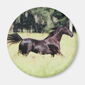 wie der Wind laufen Magnet