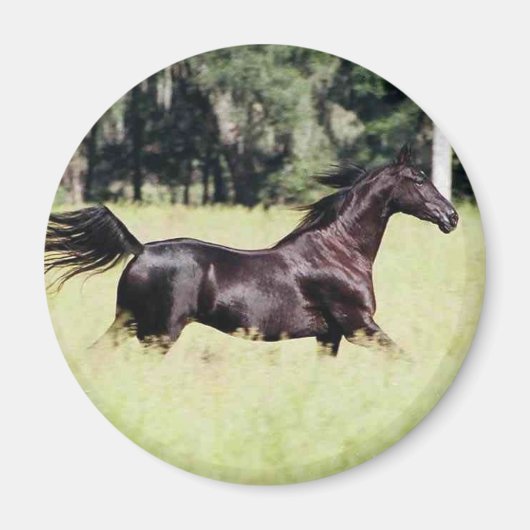 wie der Wind laufen Magnet (Vorne)